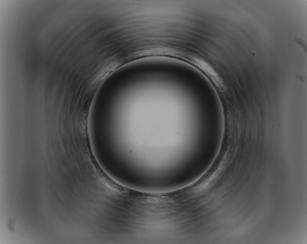 X0000091890857200709051342