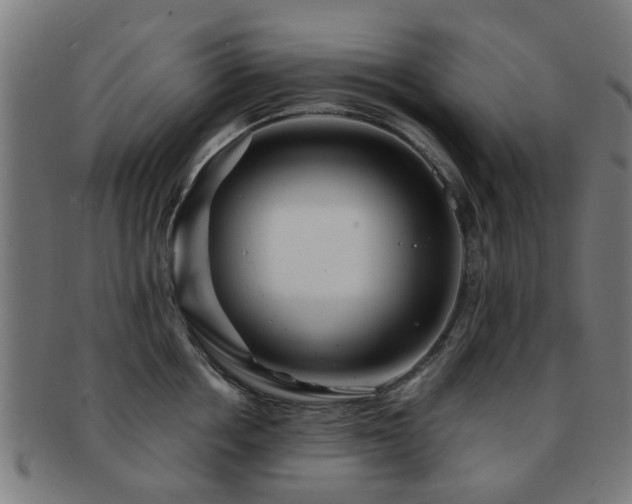X0000091890858200709051342