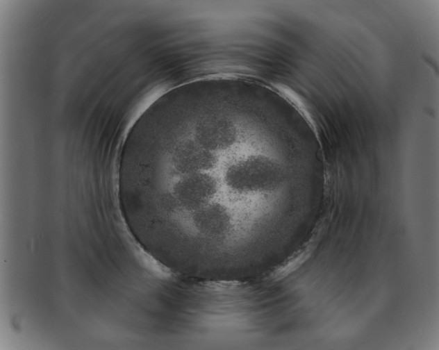 X0000091890859200709051342