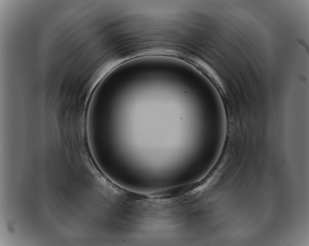 X0000091890860200709051342