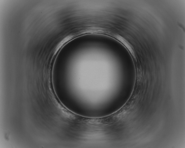 X0000091890861200709051342