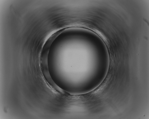 X0000091890862200709051342