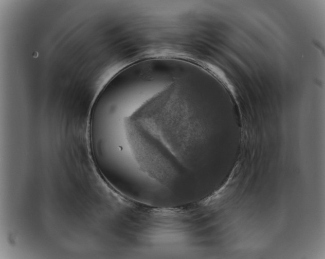 X0000091890863200709051342