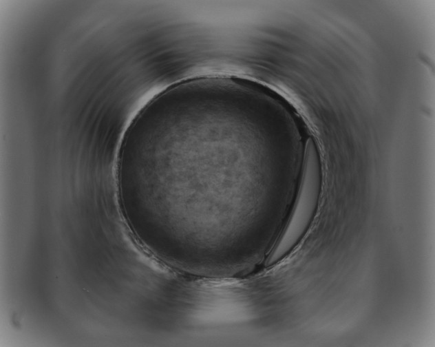 X0000091890864200709051342