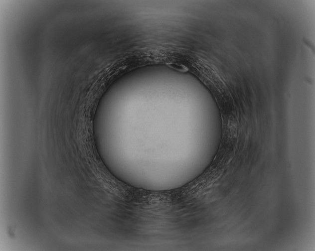 X0000091890865200709051341