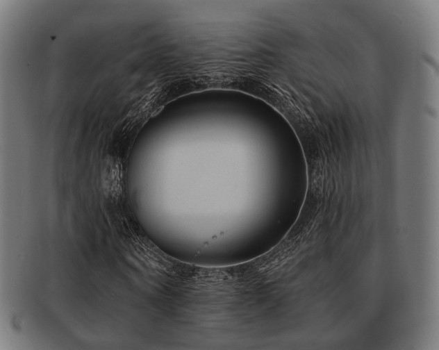 X0000091890866200709051341