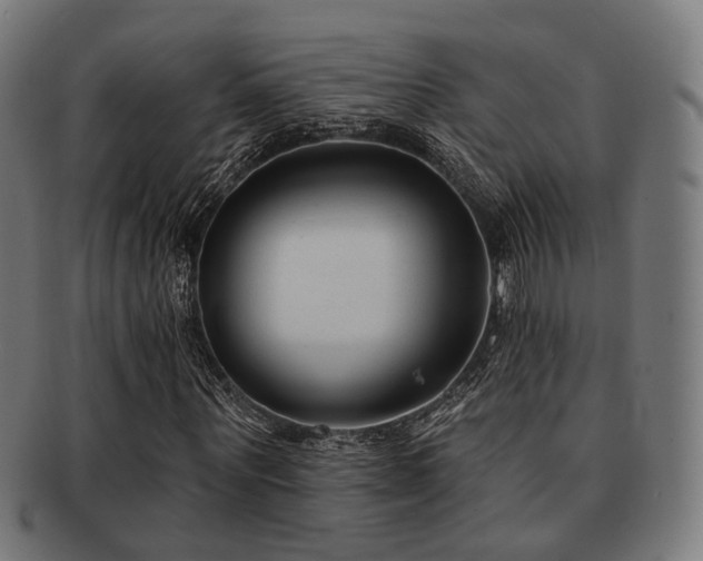 X0000091890867200709051341