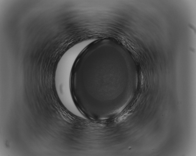 X0000091890868200709051341