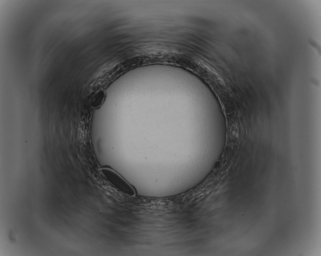 X0000091890869200709051341