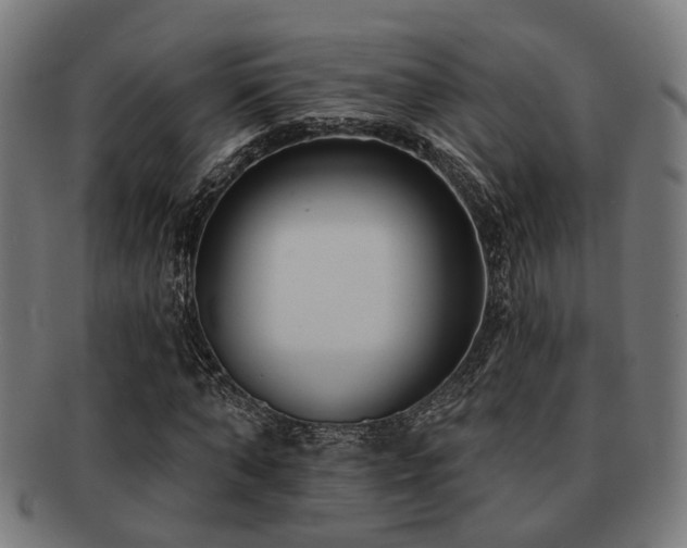 X0000091890870200709051341