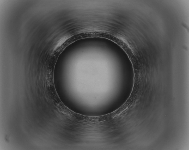 X0000091890871200709051341