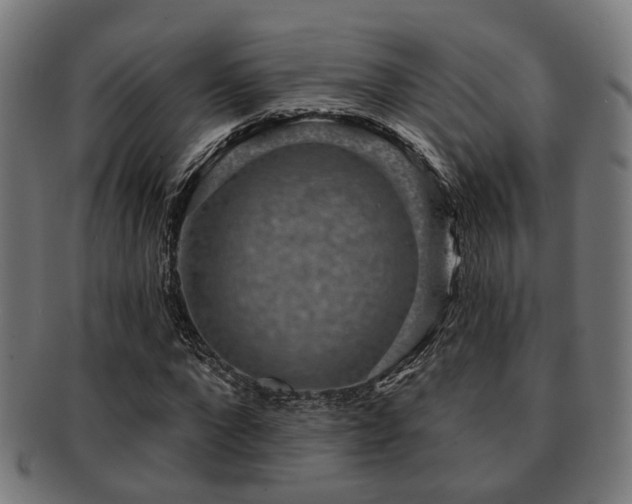 X0000091890872200709051341