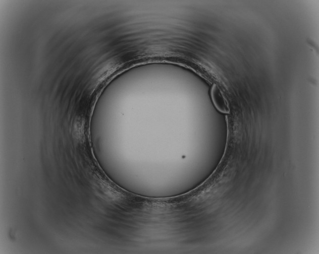 X0000091890873200709051341