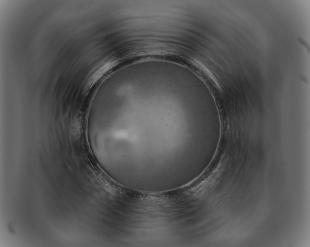 X0000091890874200709051341
