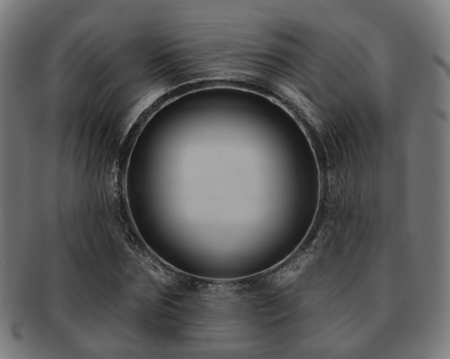 X0000091890875200709051341