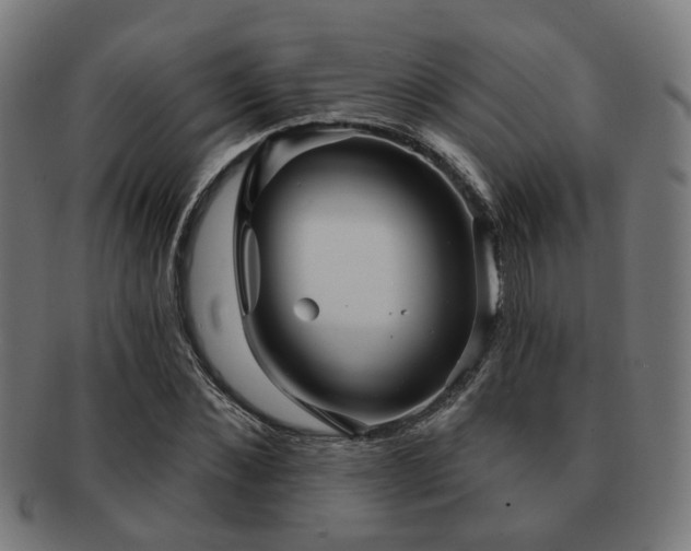 X0000091890876200709051341