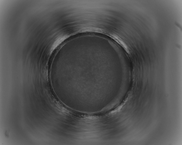 X0000091890877200709051341