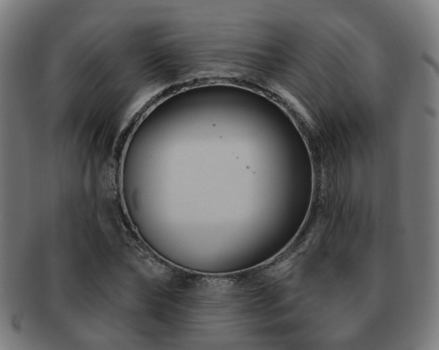 X0000091890878200709051341