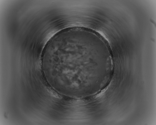 X0000091890879200709051341