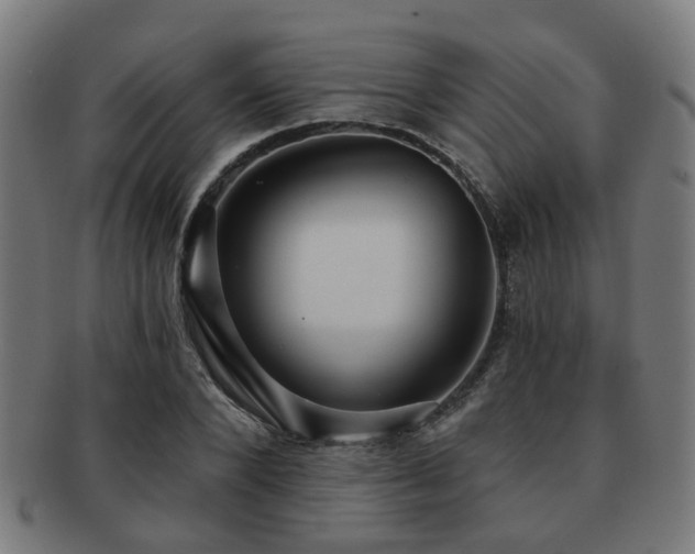 X0000091890880200709051341