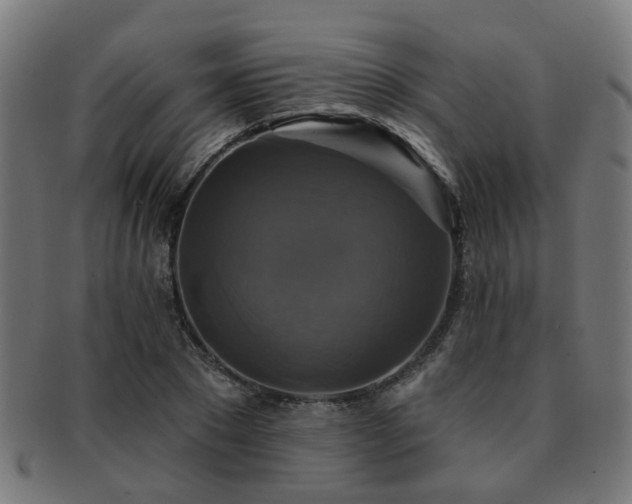 X0000091890881200709051341