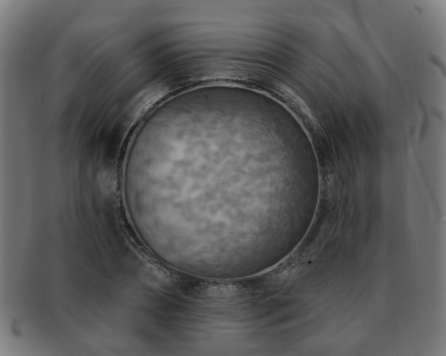 X0000091890882200709051341
