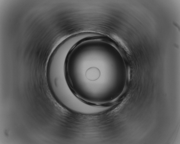 X0000091890884200709051341