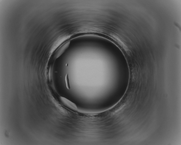 X0000091890885200709051341