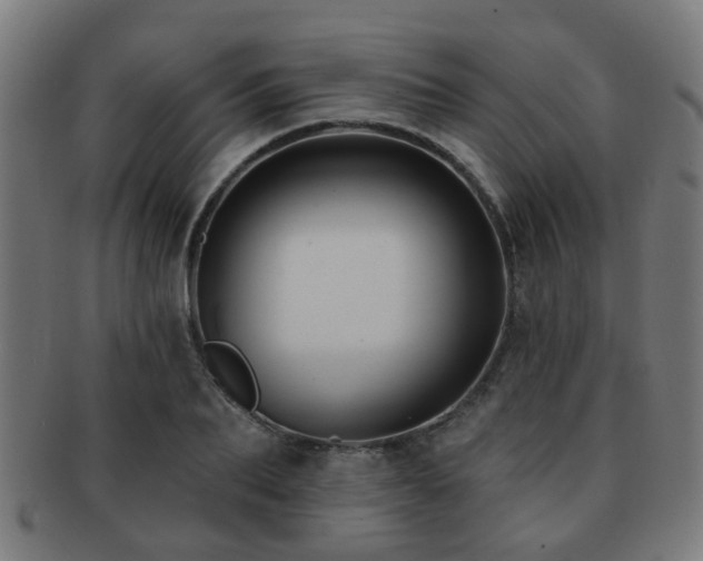 X0000091890887200709051341