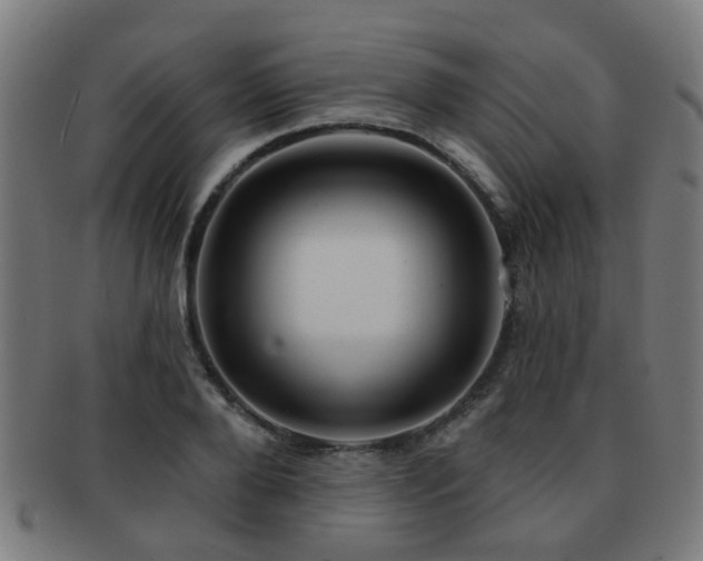 X0000091890888200709051341