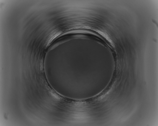 X0000091890889200709051341