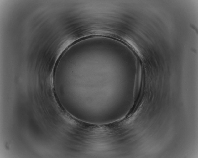 X0000091890891200709051341