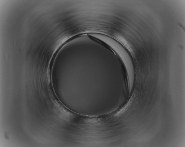 X0000091890892200709051341