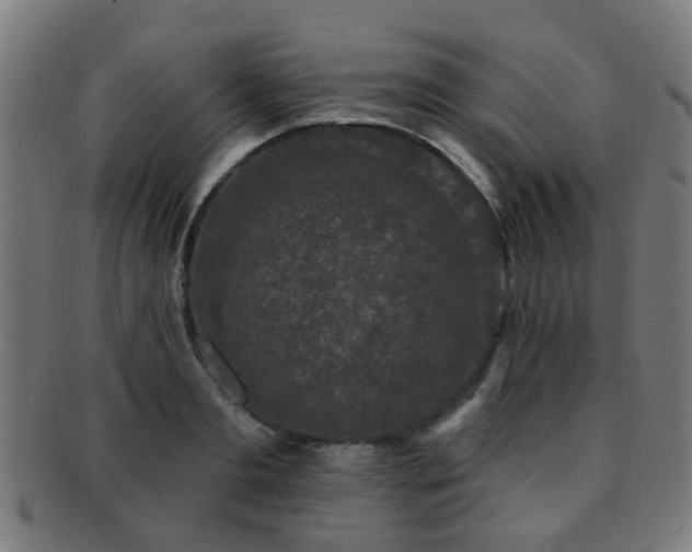 X0000091890893200709051341
