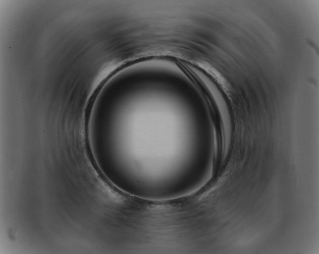 X0000091890894200709051341