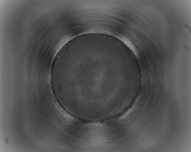 X0000091890896200709051341