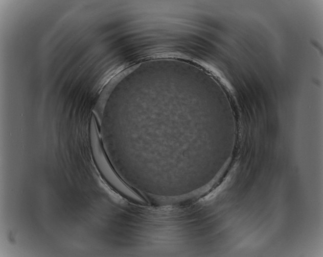 X0000091890897200709051341