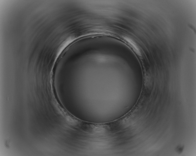 X0000091890899200709051341