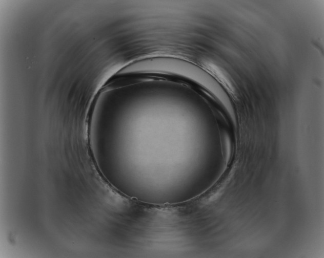 X0000091890900200709051341