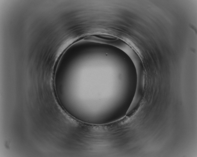 X0000091890901200709051341