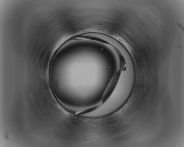 X0000091890902200709051341