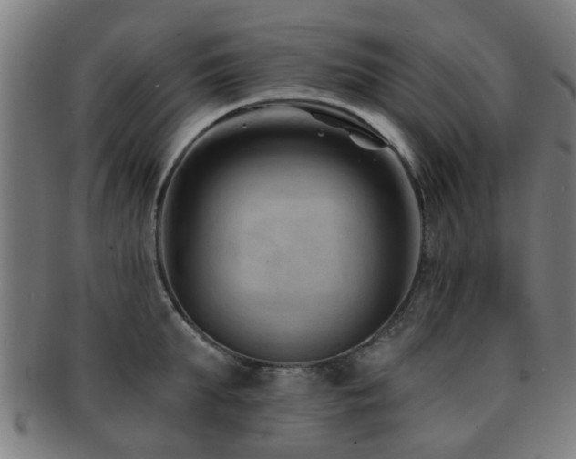 X0000091890903200709051341
