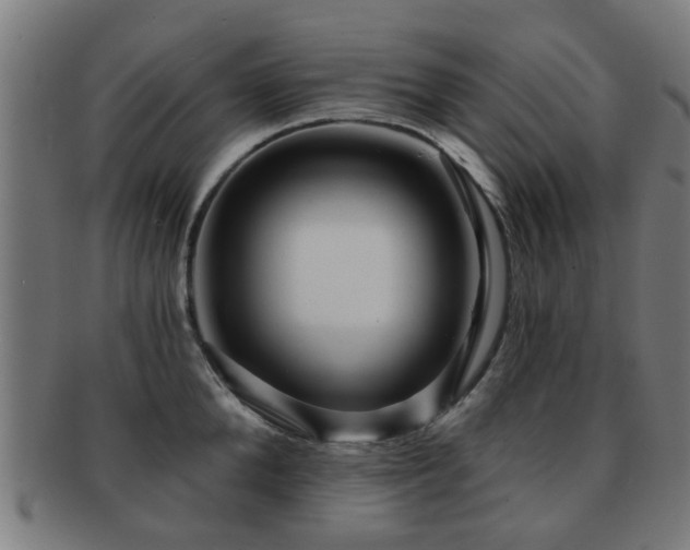 X0000091890904200709051341