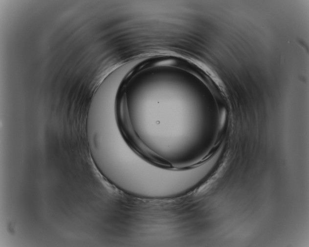 X0000091890905200709051341