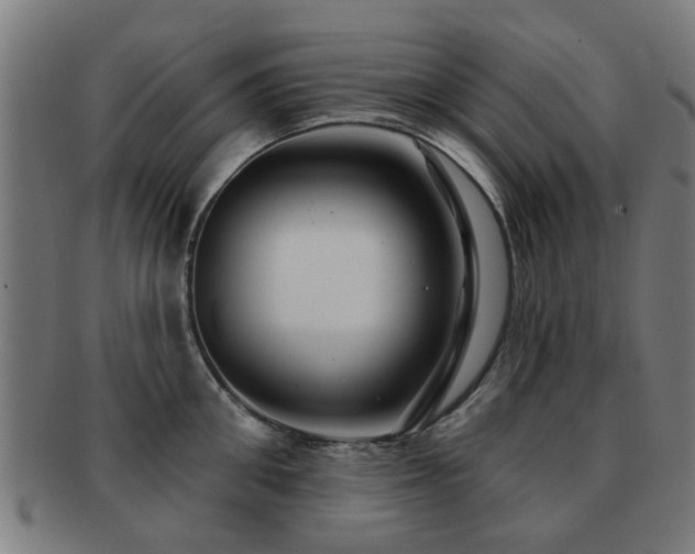 X0000091890906200709051341