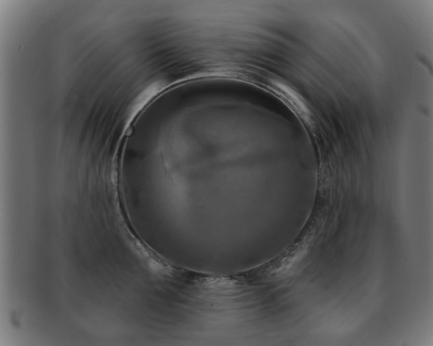 X0000091890907200709051341