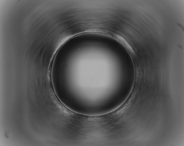 X0000091890908200709051341