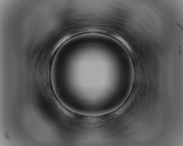 X0000091890910200709051341