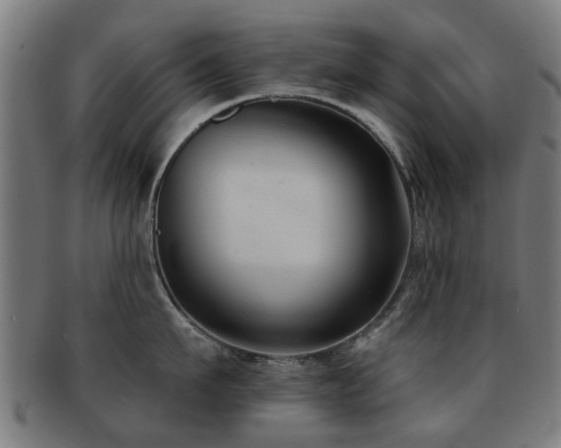 X0000091890911200709051341