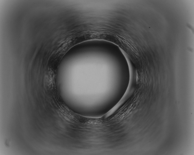 X0000091890914200709051340